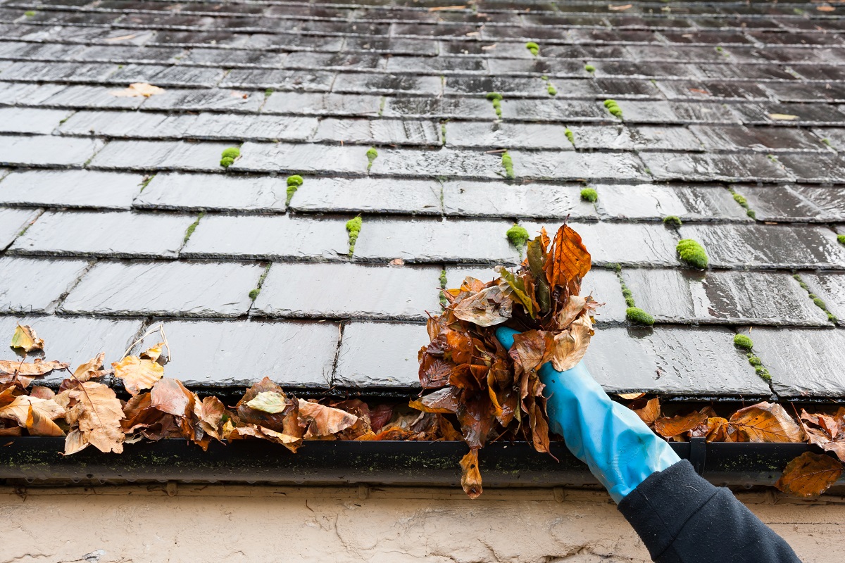 driveway cleaning colchester