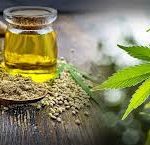 The Role of CBD Oil in Skincare and Routines